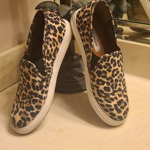 Steve Madden Women's Gills Sneaker SIZE 9